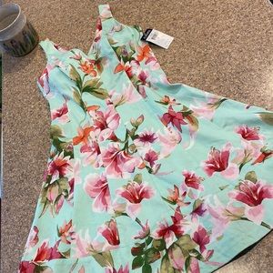 NWT Chaps Floral Feminine V Neck Dress 6